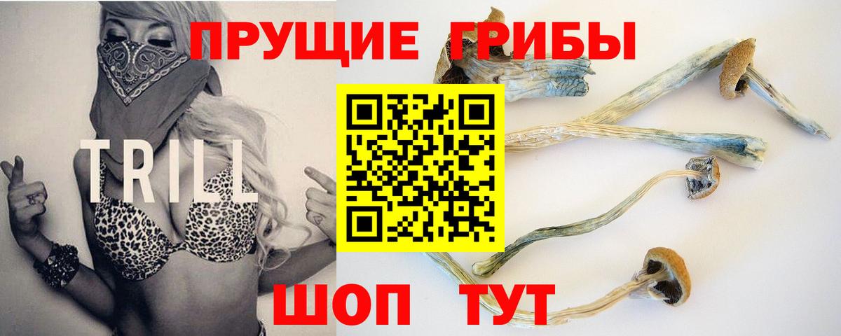 где купить наркотик  Галлюциногенные грибы GOLDEN TEACHER  Вход с VPN  Ленинск-Кузнецкий 